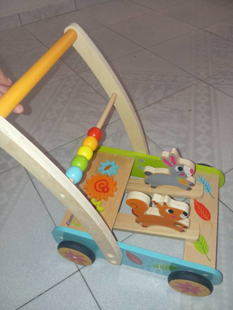 Baby Walker Forest 