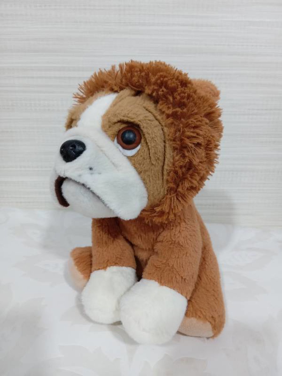 Buldogue vestido de Leão 