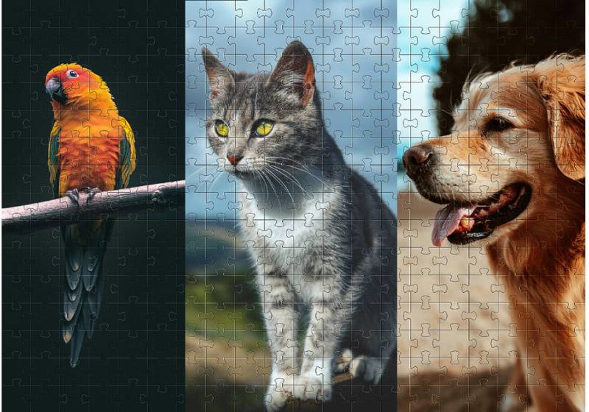 Quebra-Cabeça de Animais em MDF 300 Peças com Gato, Cachorro e Arara