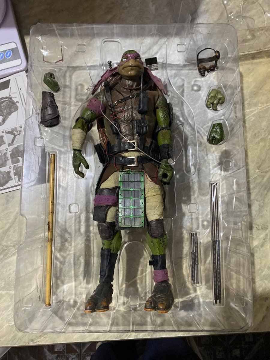 Teenage mutant ninja turtles
