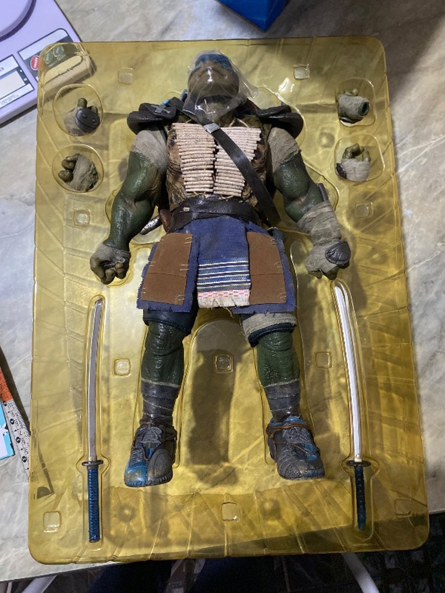 Teenage mutant ninja turtles